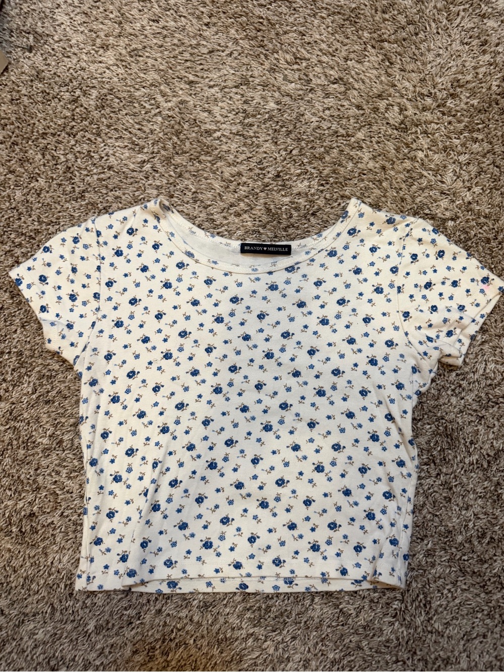 Brandy Melville White Crop Top with Blue Floral Ditsy Print